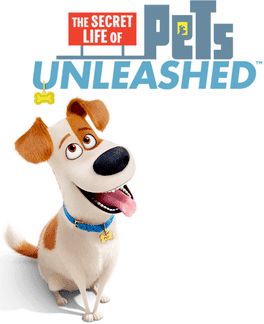 The Secret Life of Pets: Unleashed's background