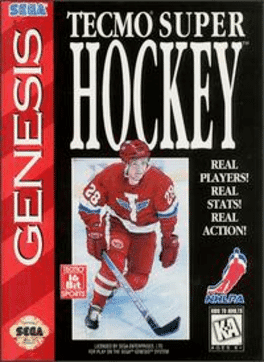 Tecmo Super Hockey's background