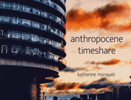 Anthropocene Timeshare's background