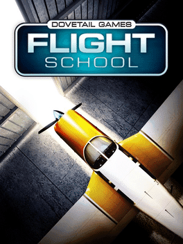Dovetail Games Flight School's background