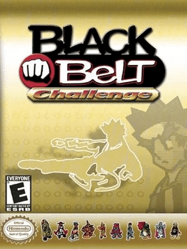 Black Belt Challenge's background