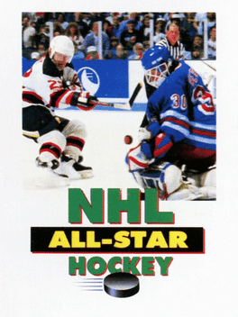 NHL All-Star Hockey '95's background