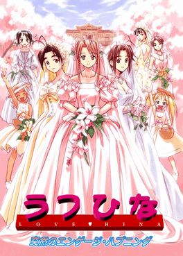 Love Hina: Totsuzen no Engeji Happening's background