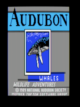audubon-whales-wildlife-adventure