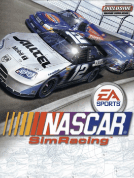 NASCAR SimRacing's background