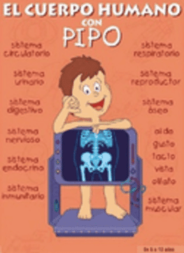 El cuerpo humano con Pipo's background