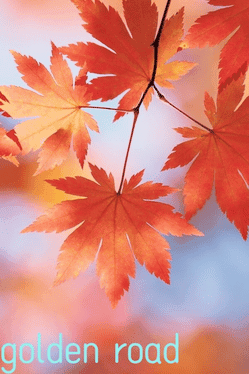 Golden Road's background