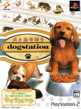 DogStation's background