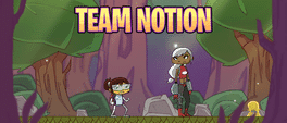 Team Notion's background