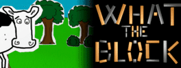 What the Block's background
