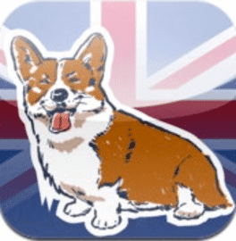 MyRoyalCorgi's background