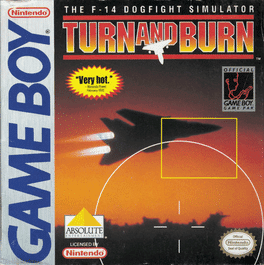 Turn and Burn: The F-14 Dogfight Simulator's background