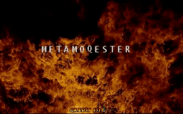 Metamoqester's background