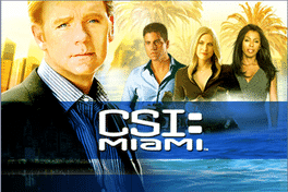 CSI: Miami's background