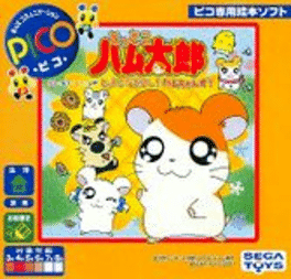 Tottoko Hamtaro: Haru Natsu Aki Fuyu Tottoko Nakayoshi! Ham-chans!'s background