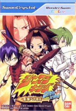 Shaman King: Mirai no Ishi's background