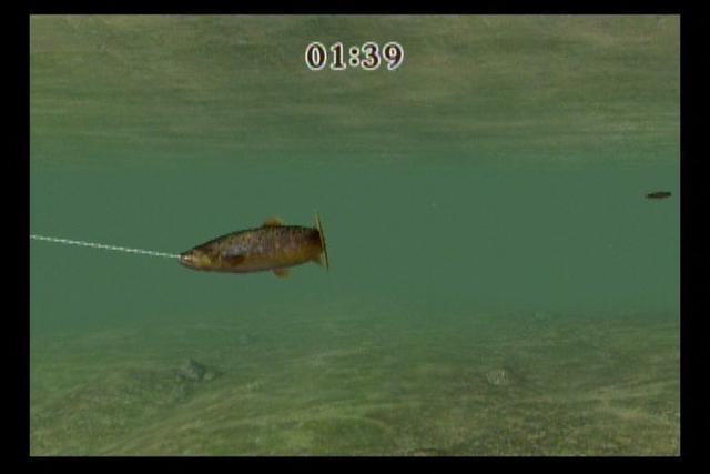 Reel Fishing Challenge's background