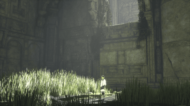 The Last Guardian's background