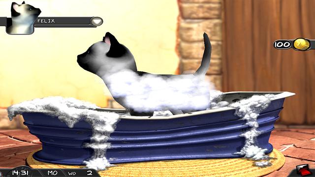 My Best Friends: Cats & Dogs's background