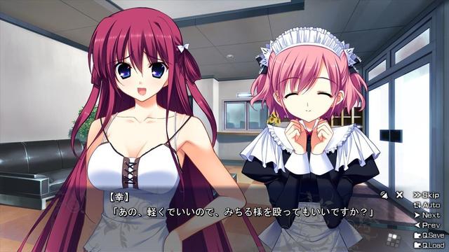 The Labyrinth of Grisaia's background