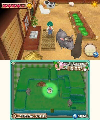 Harvest Moon: A New Beginning's background