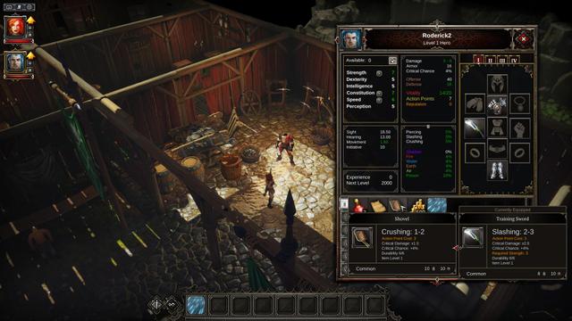 Divinity: Original Sin's background