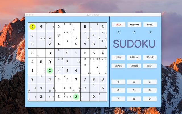 Sudoku Baron's background