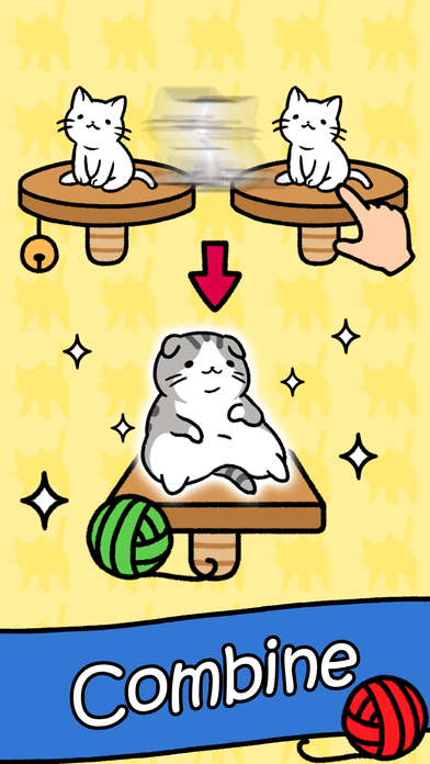 Cat Condo's background