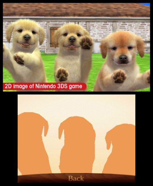 Nintendogs + Cats: Golden Retriever & New Friends's background