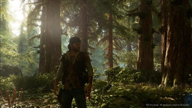 Days Gone's background