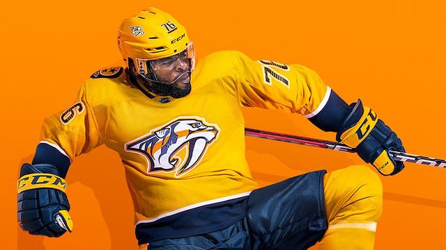 NHL 19's background