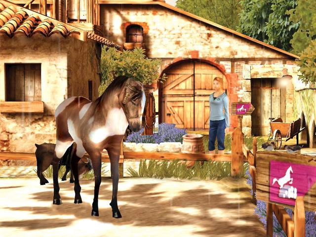 Petz: Horsez 2's background