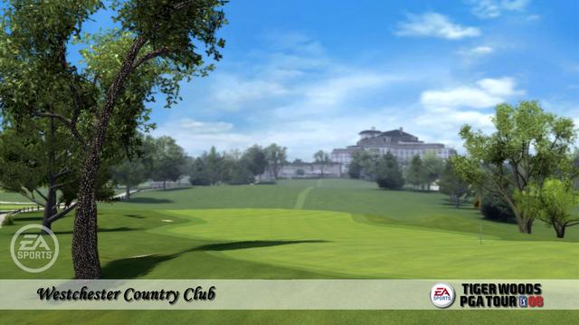 Tiger Woods PGA Tour 08's background