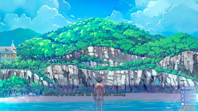 Island's background