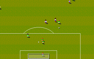 Sensible Soccer: European Champions's background