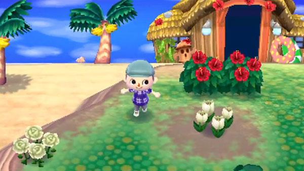 Animal Crossing: New Leaf's background