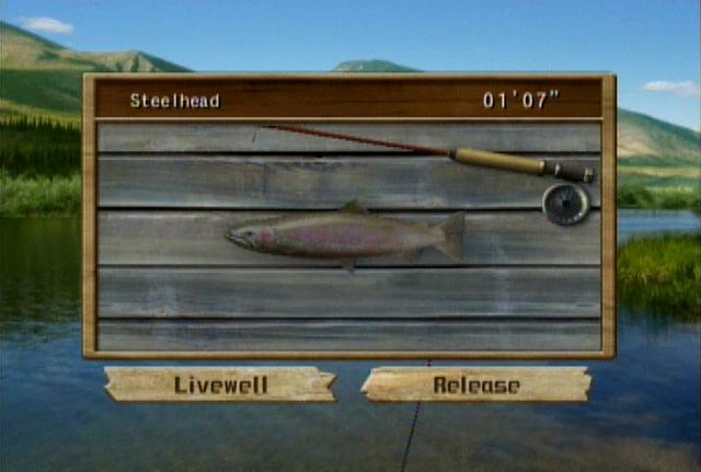 Reel Fishing: Angler's Dream's background