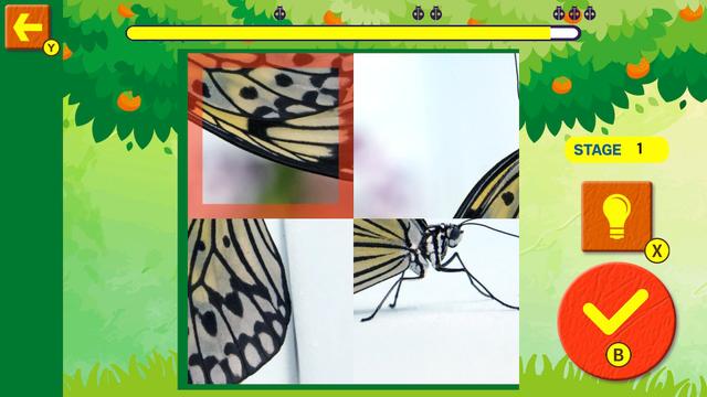 Brain Workout! Spinning Insect Puzzle's background