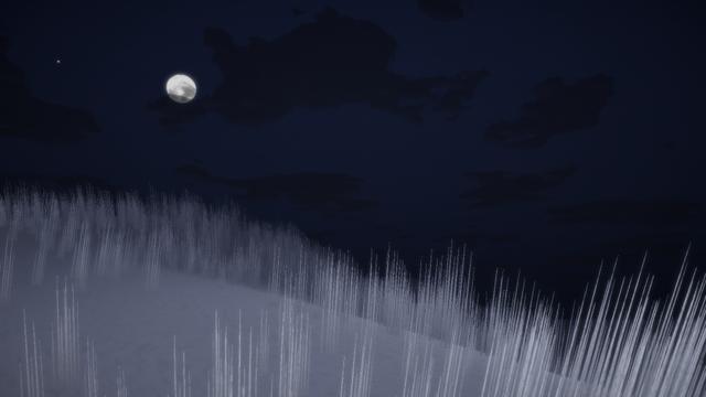 Driftwood's background