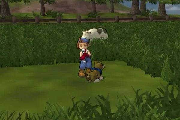 Harvest Moon: Save the Homeland's background