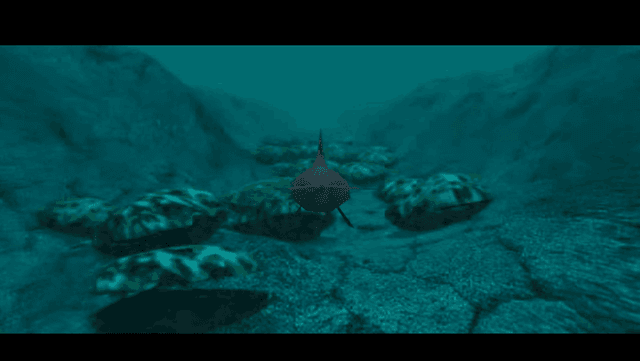 Fluid's background