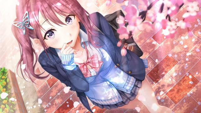 Aikiss 2's background