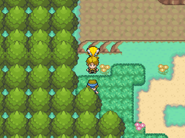 Pokémon Insurgence's background