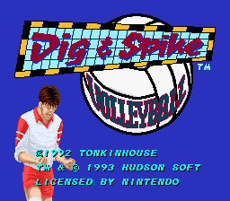 Dig & Spike Volleyball's background