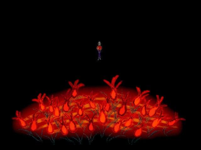 Shining Flower: HikaruHana's background