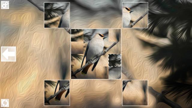 Puzzle Art: Birds's background