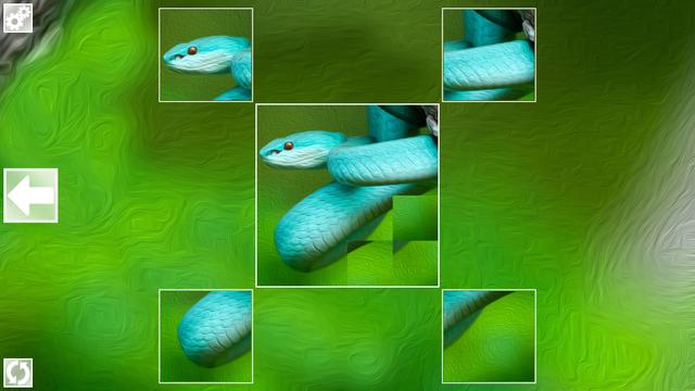 Puzzle Art: Snakes's background