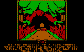 The Fellowship of the Ring: A Software Adventure's background