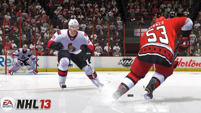 NHL 13's background