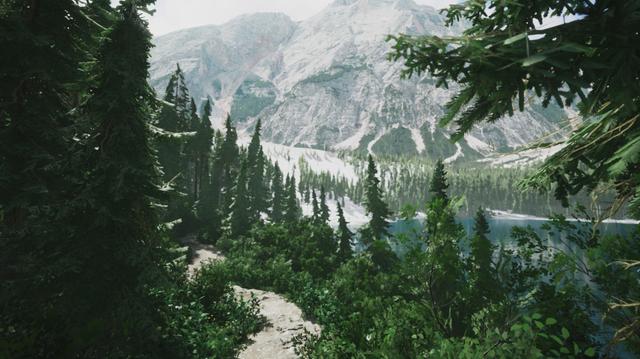Lushfoil Photography Sim's background